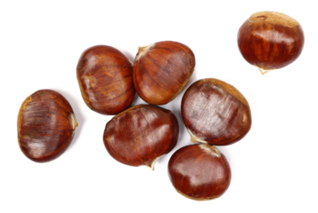 Fresh raw chestnut pile isolated on white background, top view