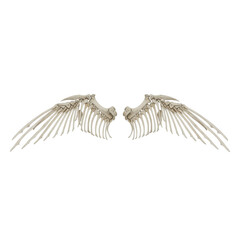 Naklejka premium Skeletal wings against a plain background create a symbolic representation of vulnerability