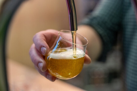 Hand holding glass pouring craft beer testing