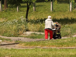 An elderly woman walks with a pram among the summer greenery. A governess is nursing a child on the street. Raising children zorovym and seasoned. Baby sleep in the fresh air. Socialization of older