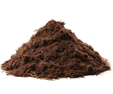 Pile of Dark Brown Peat Moss or Humus. Heap of Organic Garden Soil Isolated on White Background for Planting and Agriculture