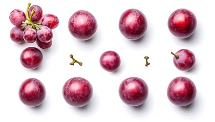 Isolated Cranberries in Flight Five Falling Berries on a Crisp White Background with white Clipping Path