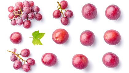 Isolated Cranberries in Flight Five Falling Berries on a Crisp White Background with white Clipping Path
