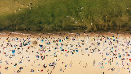 Aerial View of Beach with Sunbathing People