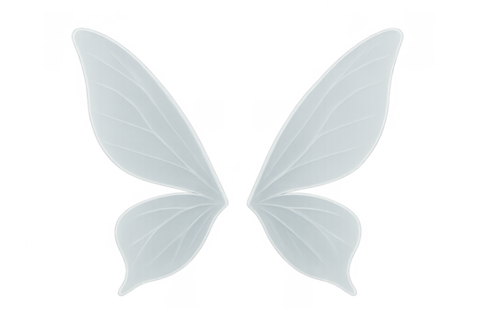 Pair of delicate white translucent fairy wings