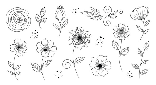 A collection of elegant hand-drawn black and white floral line art featuring various decorative botanical elements and delicate illustrations.