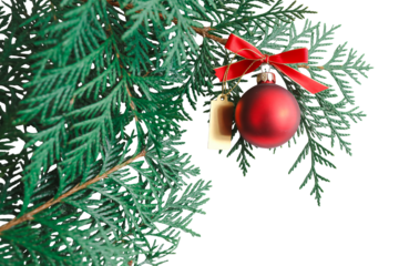 Festive Christmas tree branch adorned with a vibrant red ornament, perfect for holiday season designs and celebrations