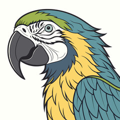 Fototapeta premium Closeup of a colorful macaw parrot, looking left