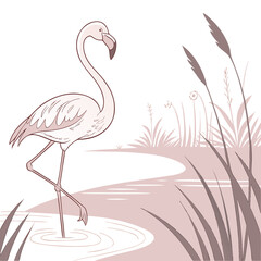 Elegant flamingo wading in shallow water