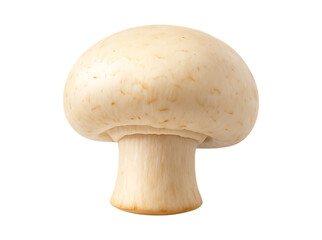 Champignon Mushroom Isolated on White Background with Full Depth of Field
