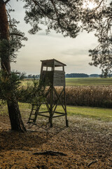 Punkt obserwacyjny na Bobrowym Szlaku w Wielkopolsce