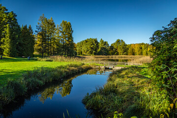 Arboretum w Puszcza Zielonka w Wielkopolsce © fotozen