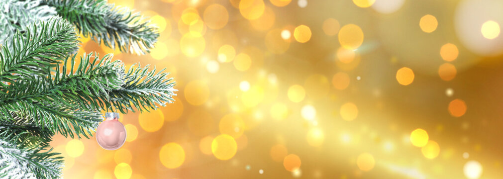 Christmas tree branches with pink ball against blurred lights on golden background, bokeh lights. Banner design with space for text