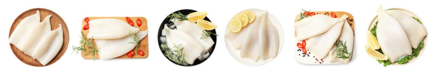 Fresh squids isolated on white, set. Top view
