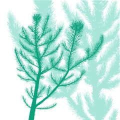 Pine blue branches background . hand drawing. Not AI, Vector illustrations