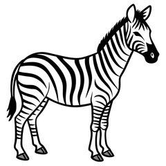 Clean Zebra Vector 