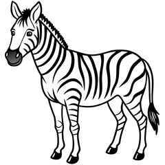 Clean Zebra Vector 