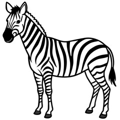 Clean Zebra Vector 