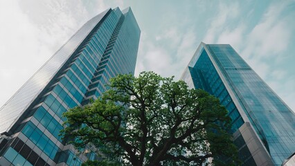 Striking modern office towers reaching towards the sky create a dynamic contrast with a vibrant green tree in the foreground, symbolizing growth and harmony