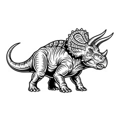 Triceratops dinosaur detailed vintage engraving style illustration, a powerful prehistoric creature isolated on white.