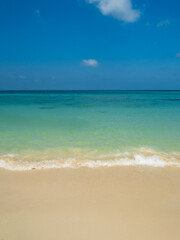 Peaceful vertical tropical sea beach with gentle waves rolling onto golden sand under bright blue sky with fluffy white clouds. relaxing summer scene perfect scene for travel holliday and nature lover