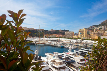 Widok na marinę i wzgórze zamkowe, Monaco, Monte Carlo, Riwiera Francuska, View of the marina and castle hill, Monaco, Monte Carlo, French Riviera