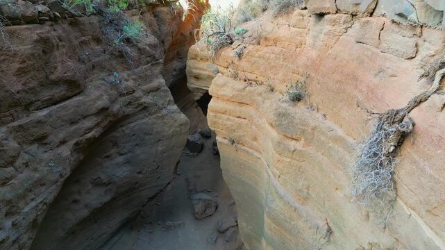 Exploring the narrow, winding sandstone slot canyon of Barranco de las Vacas in Gran Canaria