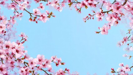Obraz premium Delicate cherry blossom border with sky blue background