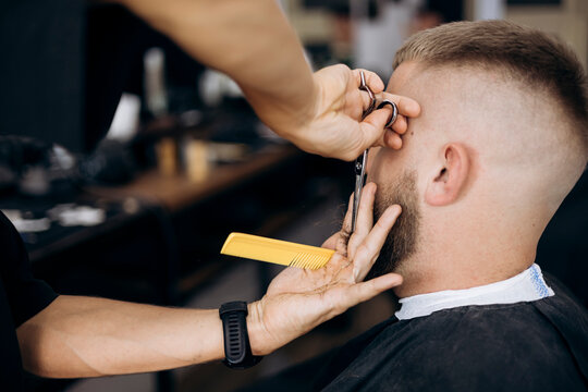 Barber cutting beard with scissors and comb for male client in barbershop.