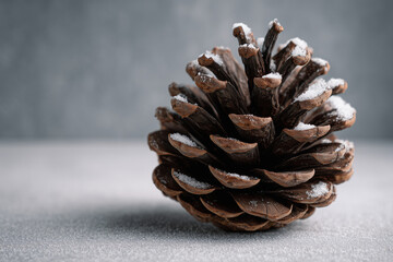 Single pinecone lightly dusted with snow on matte neutral backdrop