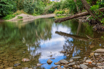 RIVER VIEW WITH A FALLEN TREE ON THE BANK IN AUTUMN
