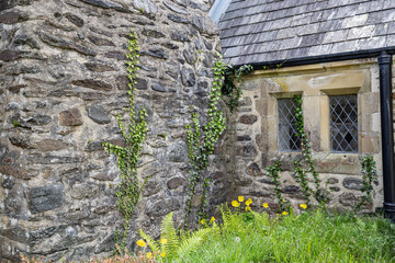 Ivy on a historic stone church in Snowdonia National Park.