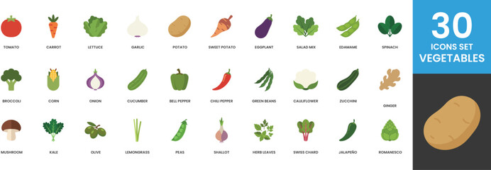 Thirty Vegetable Icons Set Flat Design Tomato Carrot Lettuce Garlic Potato Sweet Potato Eggplant Salad Mix Edamame Spinach Broccoli Corn Onion Cucumber Bell