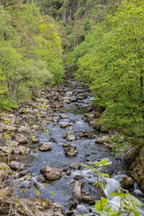 A stream flowing through a forest in Snowdonia National Park.
