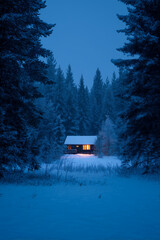 Small cabin with warm window glow among quiet pines at blue hour