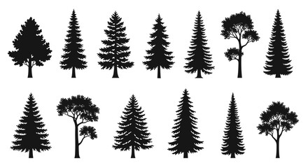 Collection of evergreen trees silhouette vector illustration for design elements and nature concepts use