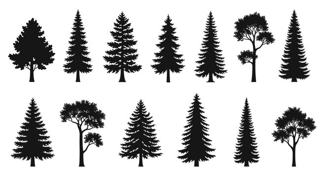 Collection of evergreen trees silhouette vector illustration for design elements and nature concepts use