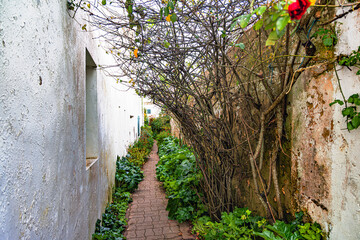 Ré island in french atlantic ocean