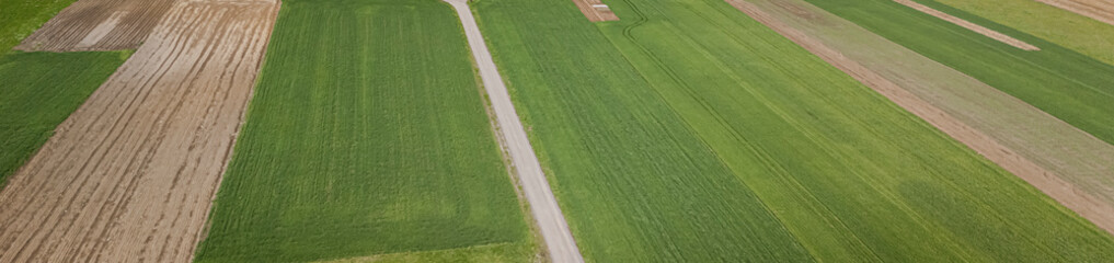 Aerial view of vast green fields divided by dirt roads and agricultural patches. This landscape captures the beauty of rural land, showcasing farming and natures bounty.