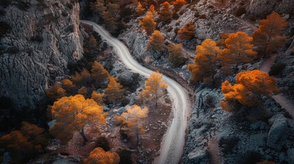 Aerial perspective of a winding road through a lush forest leading up to a mountain summit