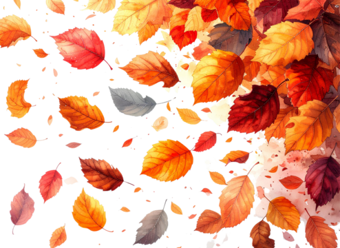 Vertical Falling Autumn Leaves, Mixed Species, Floating in Air, White Background PNG 