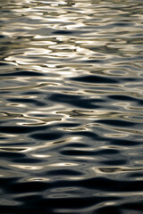 Gradient background of abstract circles from sea waves