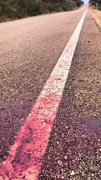 Sangre en carretera por accidente en vertical 