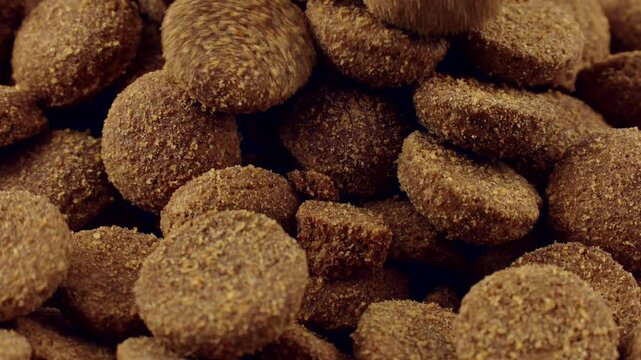 Brown kibble pieces of dry dog food falling down close up