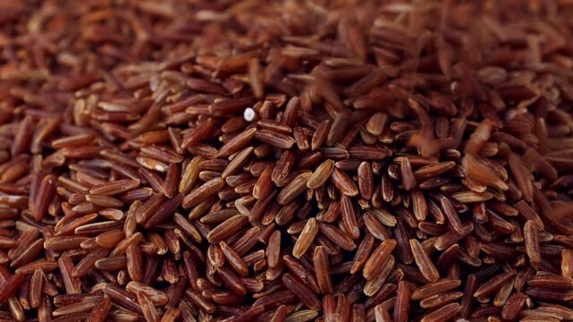 Thai Red Rice (Red Jasmine Rice) grains falling down close up
