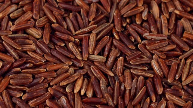 Thai Red Rice (Red Jasmine Rice) grains circle rotation close up
