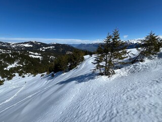 Obraz premium Evergreen forest with coniferous trees and alpine pastures in a winter environment of the Swiss Alps and UNESCO Biosphere Entlebuch, Switzerland - Immergrüner Nadelwald und Almwiesen