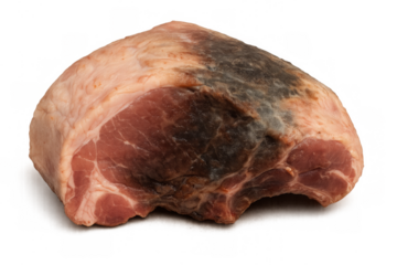 Spoiled raw pork meat showing mold decay
