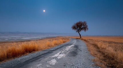 A lonely tree next to a gravel road, illuminated by the moon in a vast, golden field
