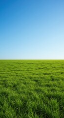 A tranquil scene featuring a vast, rolling green grass landscape stretching toward the distant horizon under a bright, sunny blue sky, wide, terrain, bright